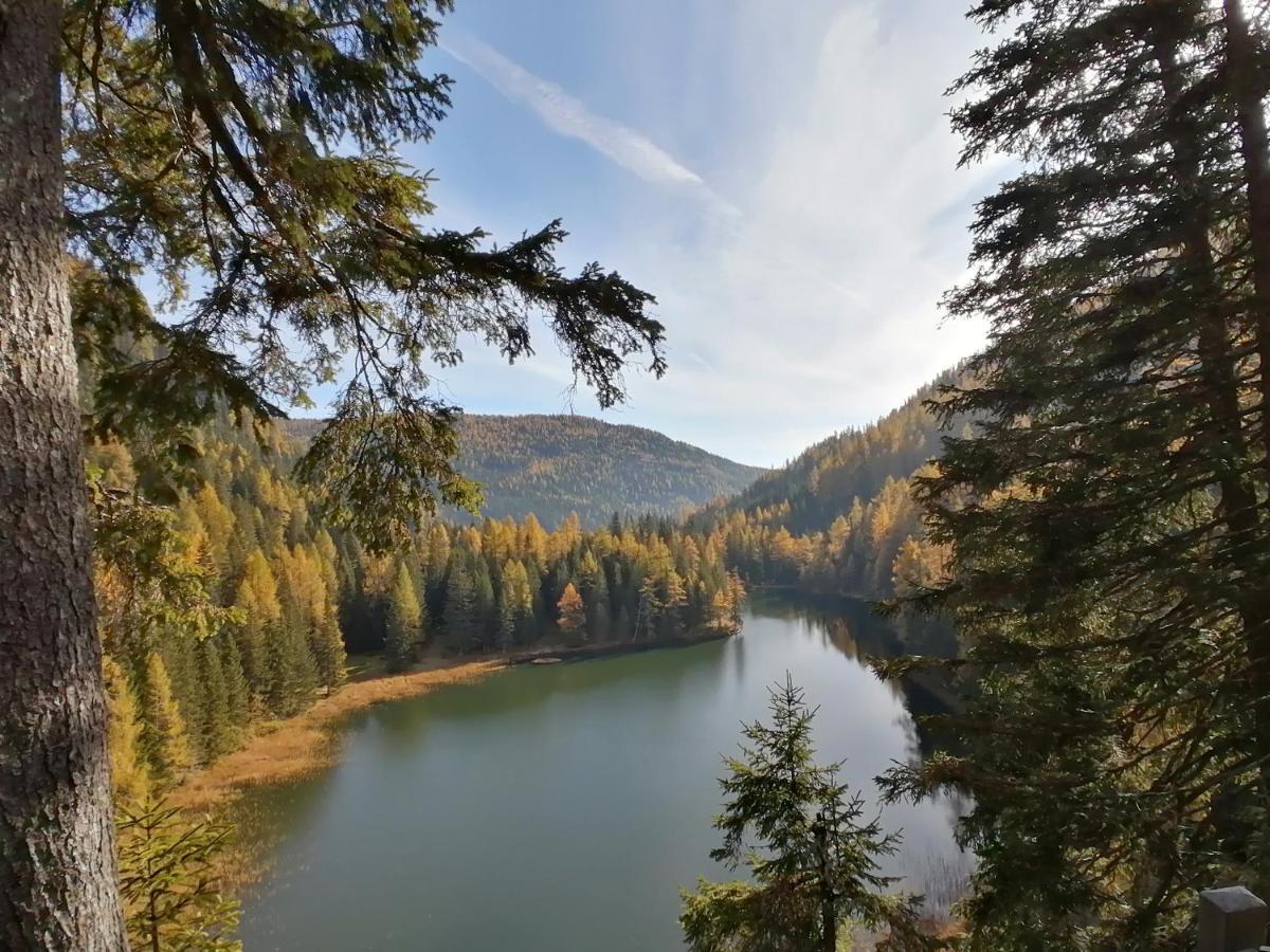 Almhaus Kaernten Flattnitz Exteriér fotografie