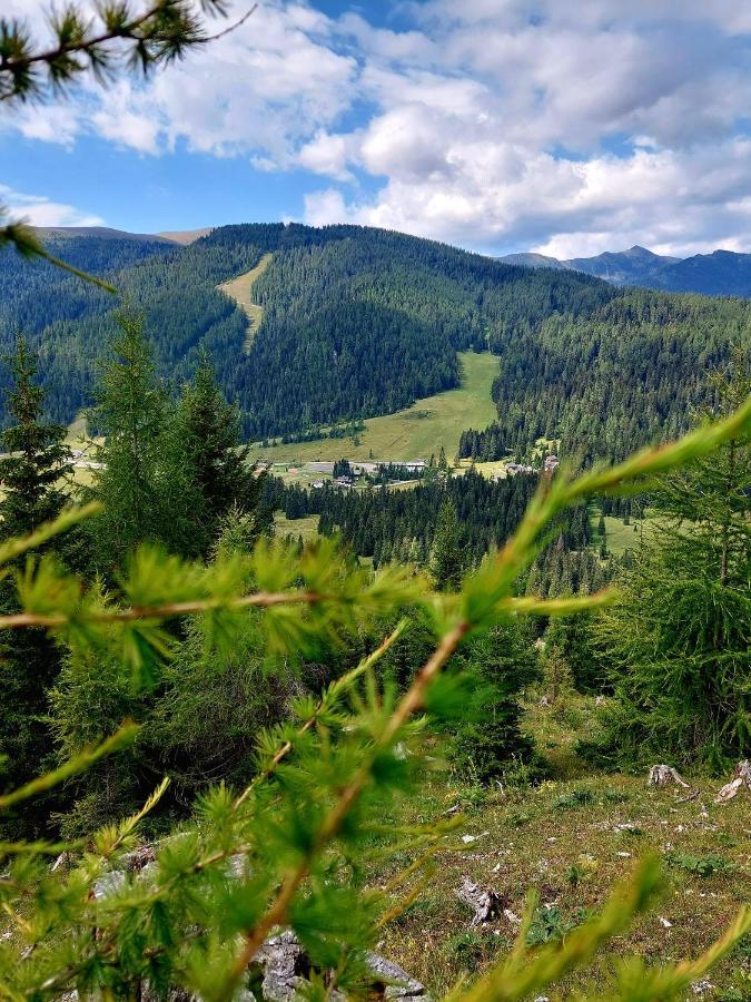 Almhaus Kaernten Flattnitz Exteriér fotografie